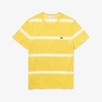 Lacoste Erkek Bisiklet Yaka Çizgili Sarı T-Shirt
