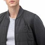 Lacoste Erkek Sweatshirt