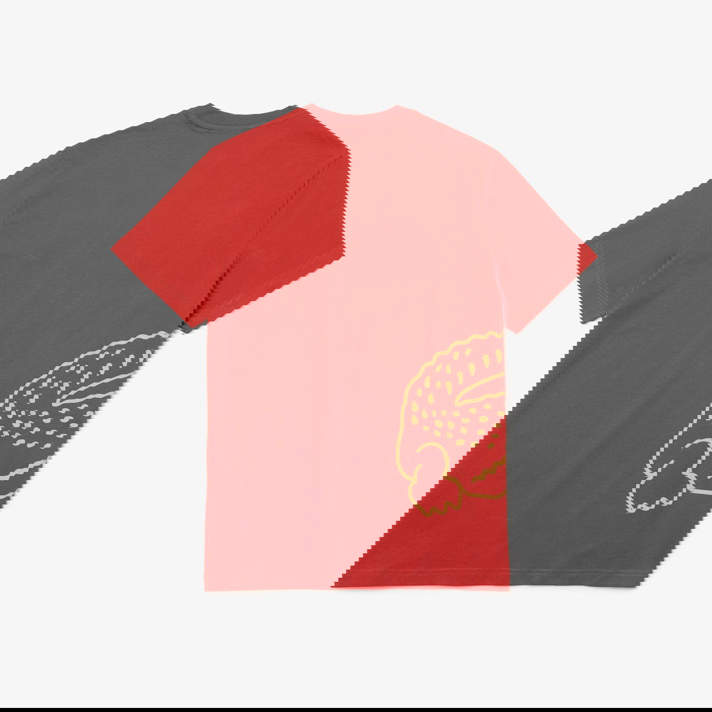 product_detail_image