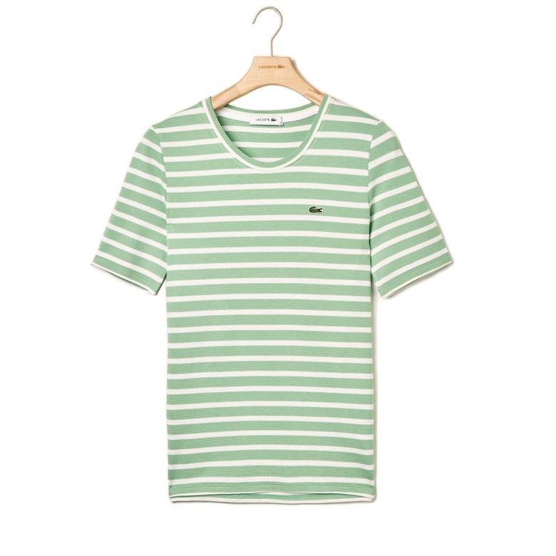 Lacoste Kadın Çizgili Yeşil T-Shirt
