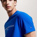 Tommy Hilfiger Erkek Mavi T-Shirt