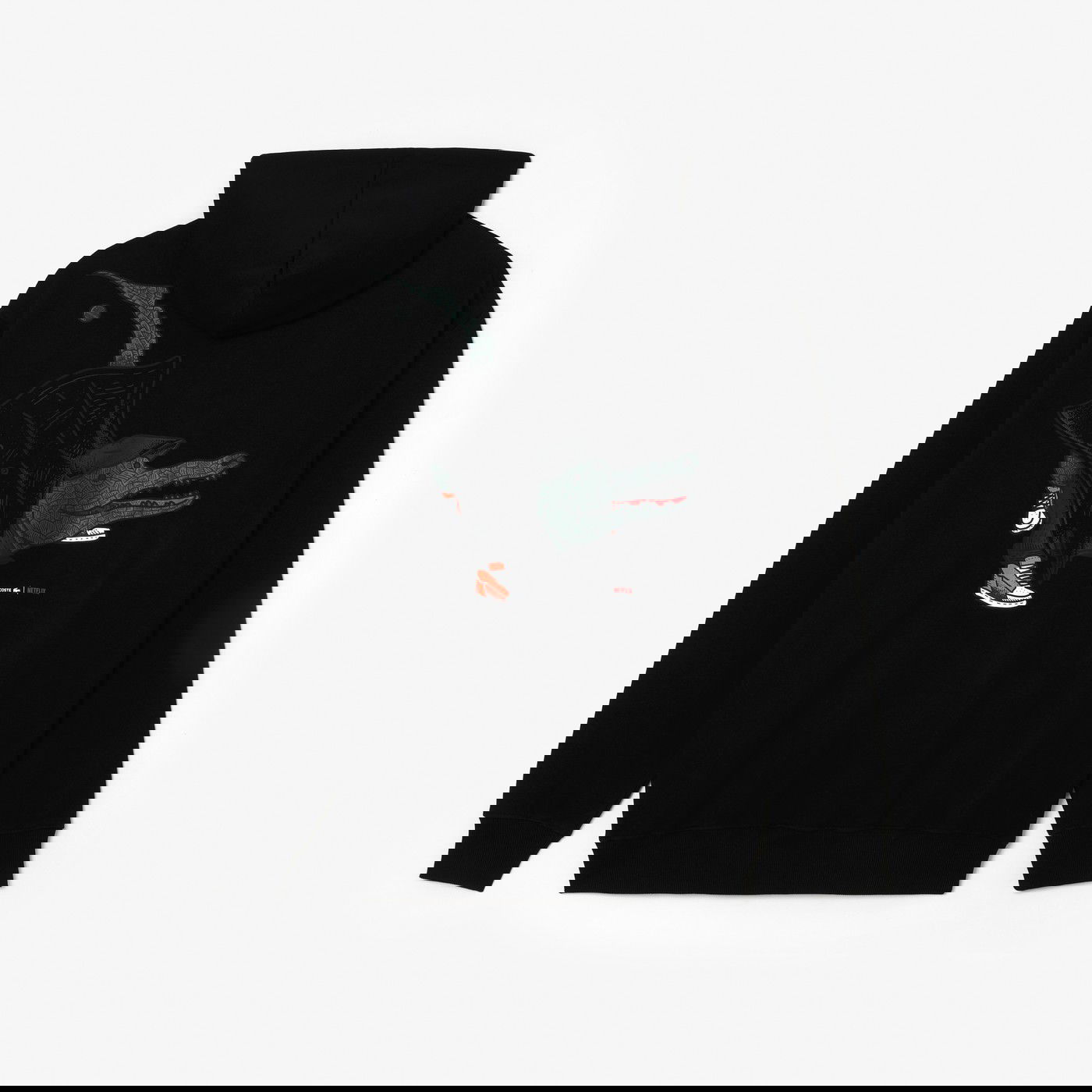product_detail_image