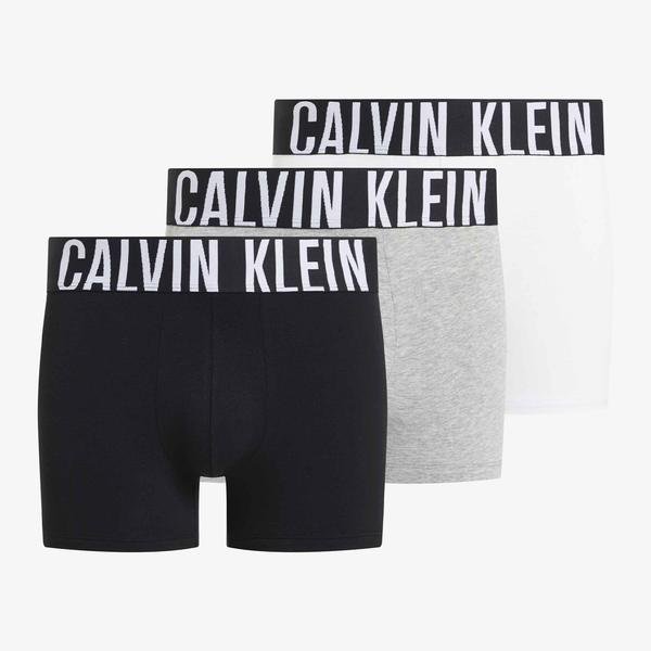 Calvin Klein Erkek Renkli İç Çamaşır