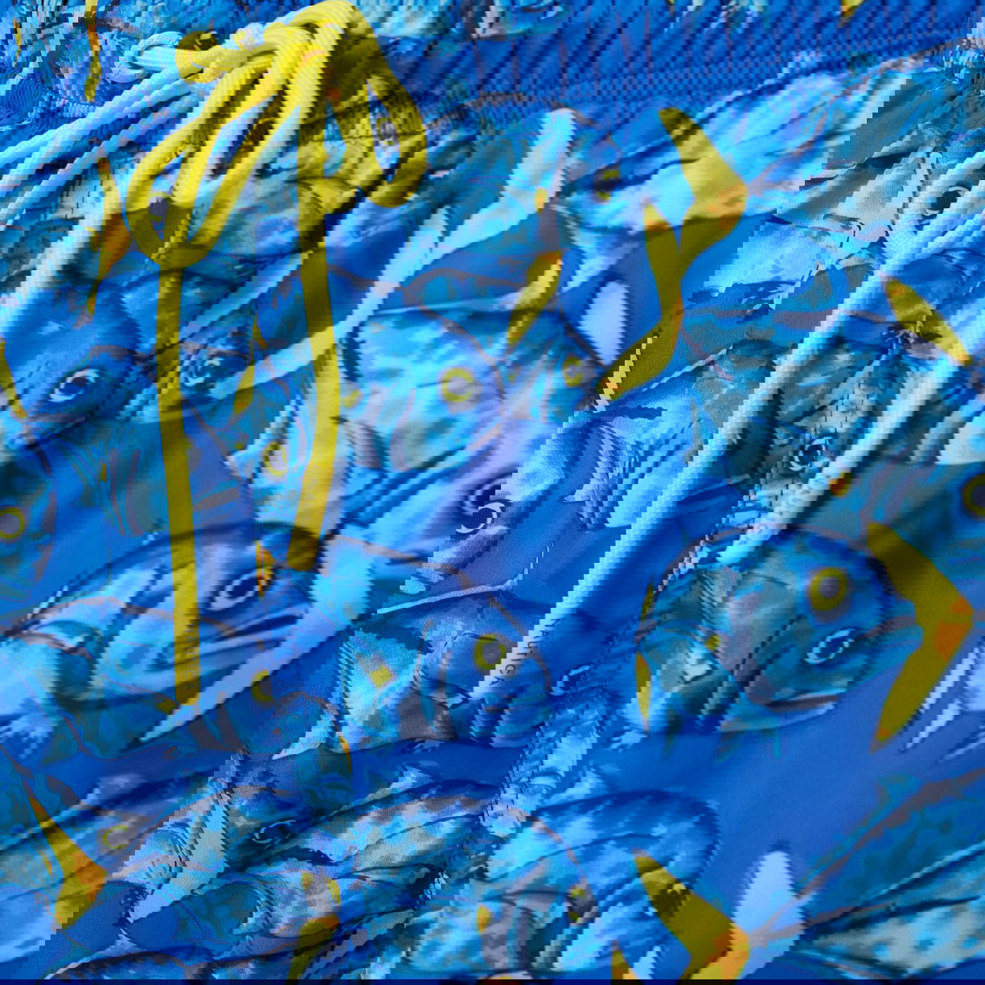 product_detail_image