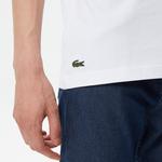 Lacoste Erkek Beyaz T-Shirt