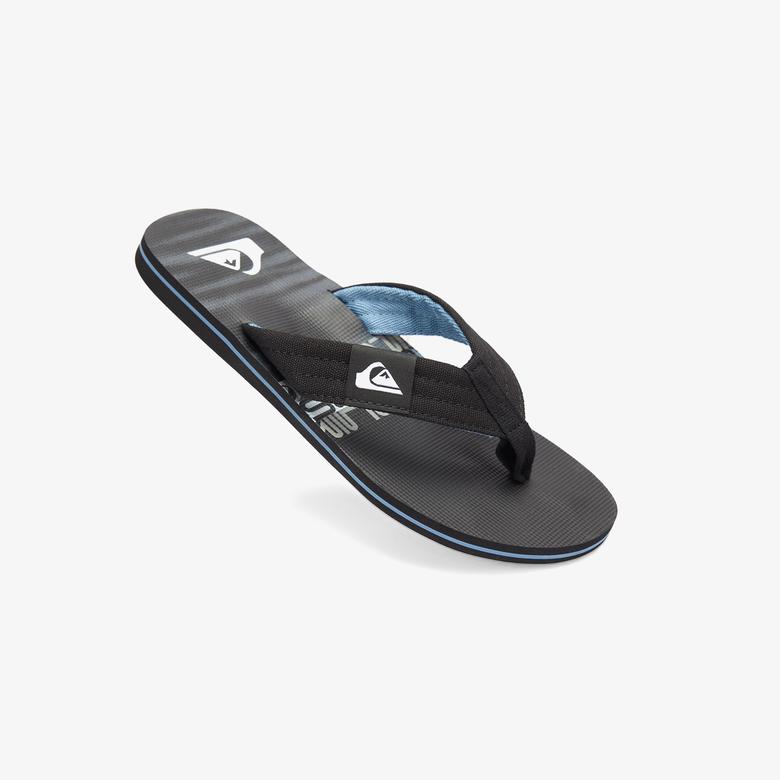 Quiksilver Molokai Layback II Erkek Siyah Terlik