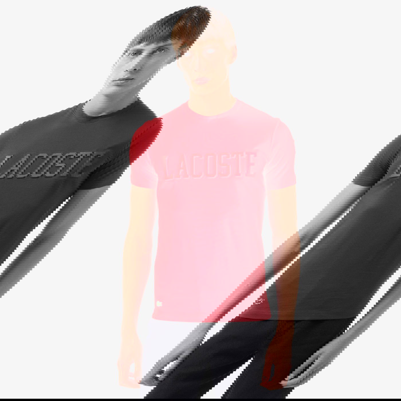T shirt lacoste homme 2019 shop