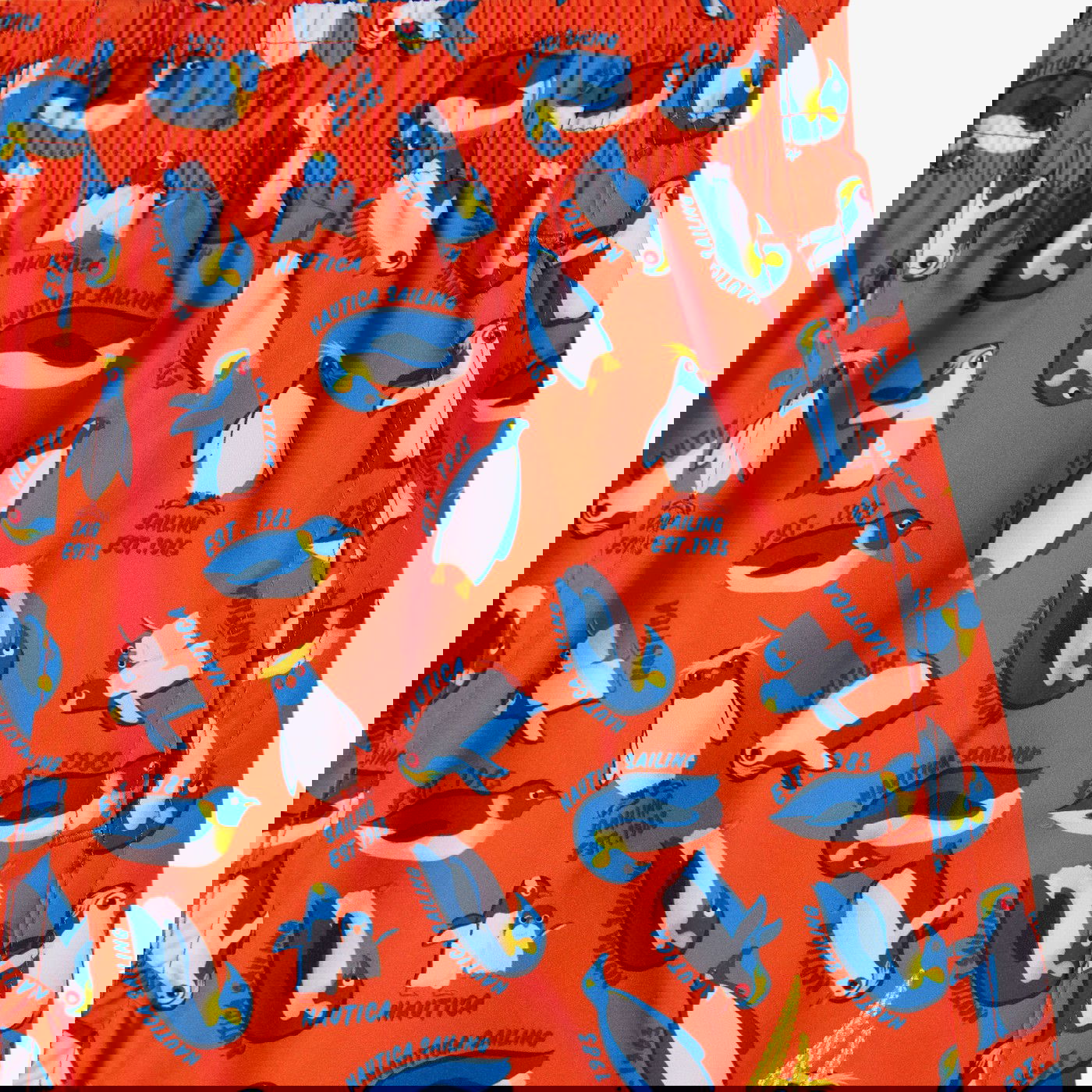 product_detail_image