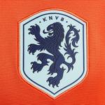 Nike Erkek Turuncu Forma