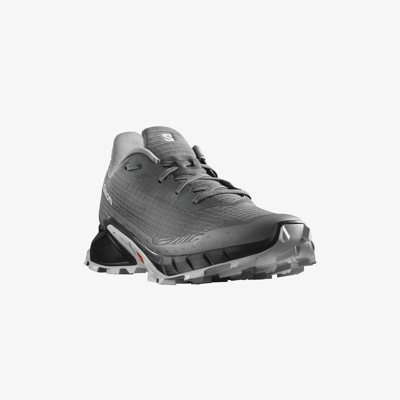 Salomon Alphacross 5 Erkek Gri Koşu Ayakkabısı