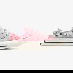 Converse Chuck 70 Roses Unisex Pembe Sneaker