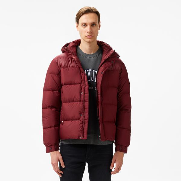 Tommy Hilfiger Erkek Mor Mont