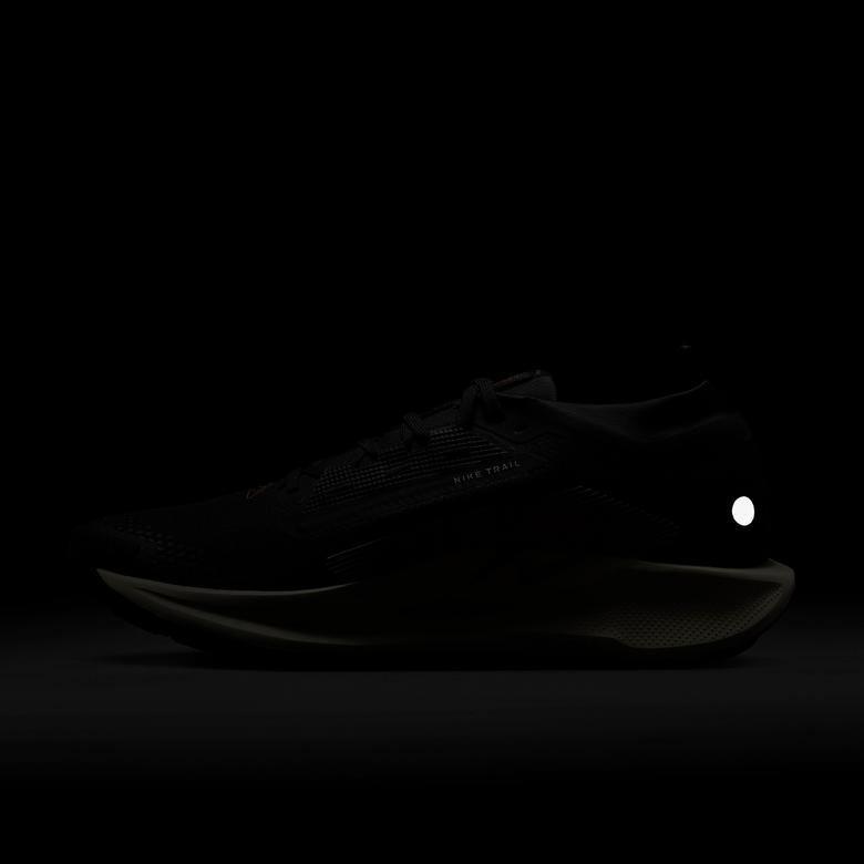 Nike Pegasus Trail 5 GORE-TEX Erkek Siyah Koşu Ayakkabısı
