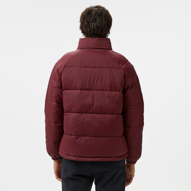 Tommy Jeans Erkek Mor Mont