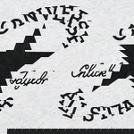 Converse Chuck Taylor Çocuk Beyaz T-Shirt